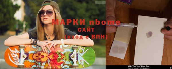 амф Верхний Тагил