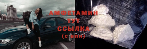 амф Верхний Тагил