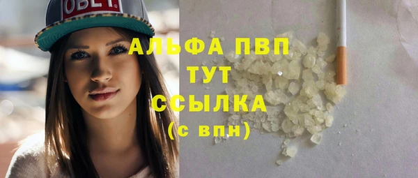 амф Верхний Тагил