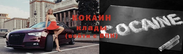 амф Верхний Тагил