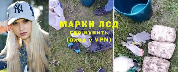 амф Верхний Тагил