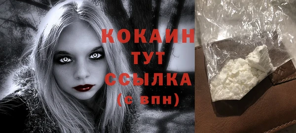 амф Верхний Тагил
