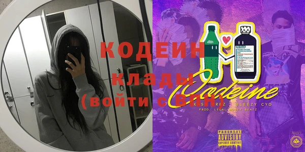 амф Верхний Тагил