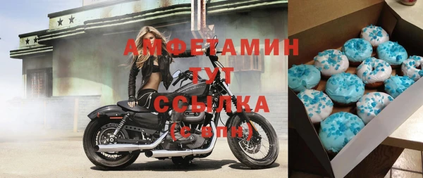 амф Верхний Тагил