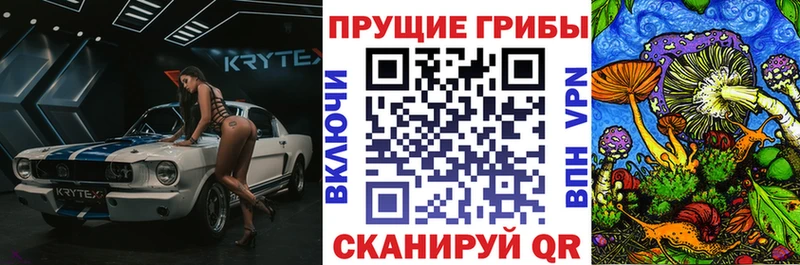 Купить где  Волоколамск  Псилоцибиновые грибы MAGIC MUSHROOMS 