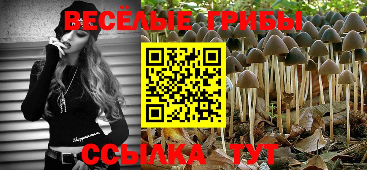 Галлюциногенные грибы Psilocybine cubensis Волоколамск