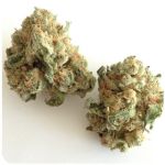 Шишки "White Widow"  (Белая вдова)  Гидропоника -  Бошка VHQ в Волоколамске